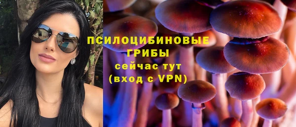 mix Алексин